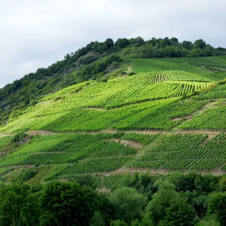 Relaxen Im Alten Winzerhaus Eg Апартаменты Рех