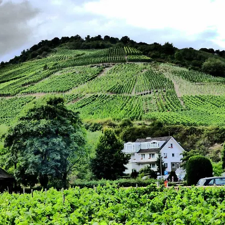 Relaxen Im Alten Winzerhaus Eg Appartamento