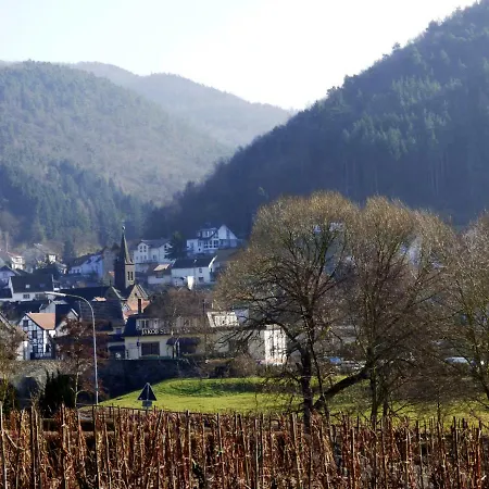 Relaxen Im Alten Winzerhaus Eg Apartmán Rech