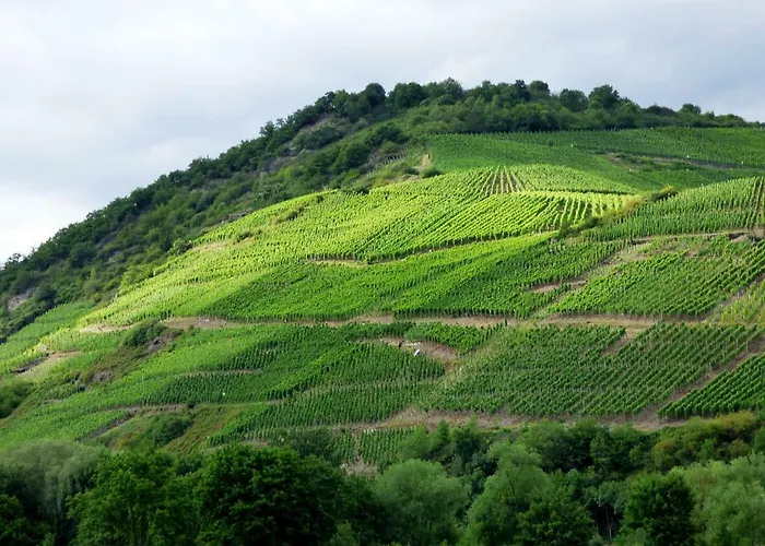 Relaxen Im Alten Winzerhaus Eg アパート レッヒ