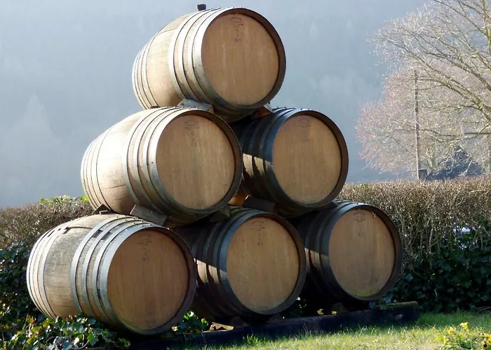 Apartment Relaxen Im Alten Winzerhaus Eg Rech