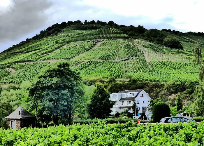 Relaxen Im Alten Winzerhaus Eg アパート